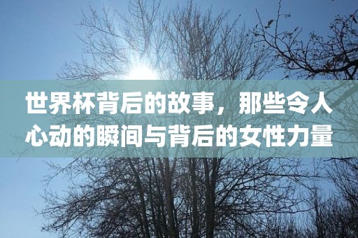 世界杯背后的故事,那些令人心动的瞬间与背后的女性力量