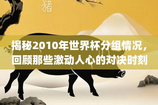 揭秘2010年世界杯分永康市本千工贸有限公司组情况，回顾那些激动人心的对决时刻
