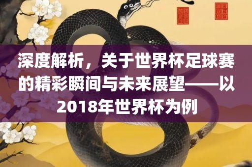 深度解析，关于世界杯足球赛的精彩瞬间与未来展望——以2018年世界杯为例永康市本千工贸有限公司