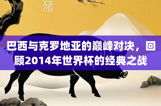巴西与克罗地亚的巅峰对决,回顾2014年世界杯的经典之战