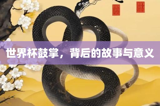 世界杯鼓掌,背后的故事与意义