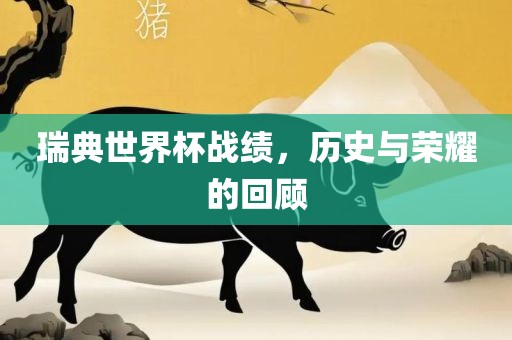 瑞典世界杯战绩，历史与荣耀的回顾