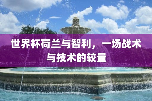 世界杯荷兰与智利,一场战术与技术的较量永康市本千工贸有限公司