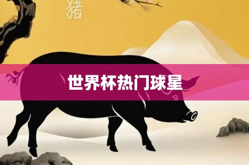 世界杯热门球星