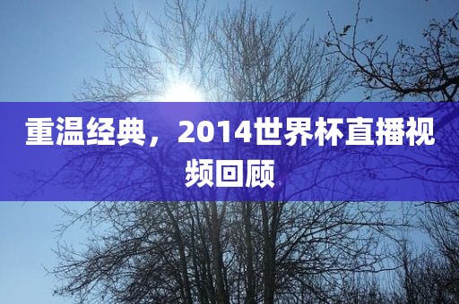 重温经典,2014世界杯直播视频回顾永康市本千工贸有限公司