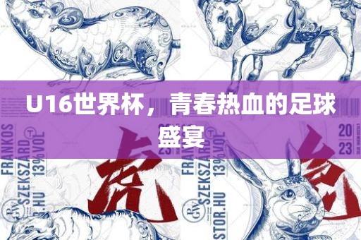 U16世界杯,青春热血的足球盛宴