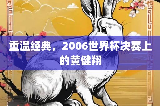 重温经典，2006世界杯决赛上的黄健翔