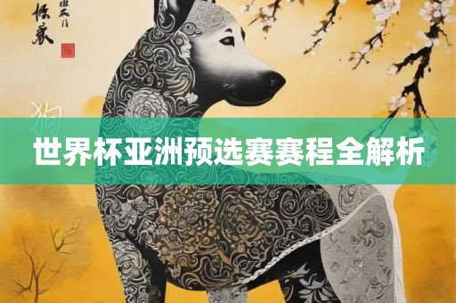 世界杯亚洲预选赛赛程全解析