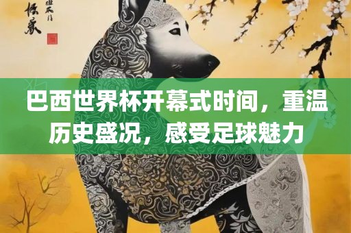 巴西世界杯开幕式时间,重温历史盛况,感受足球魅力