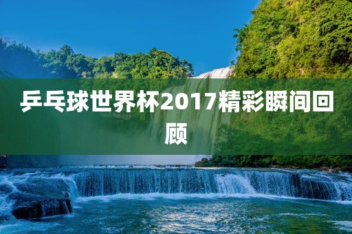 乒乓球世界杯2017精彩瞬间回顾永康市本千工贸有限公司