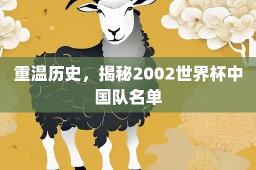 重温历史,揭秘2002世界杯中国队名单