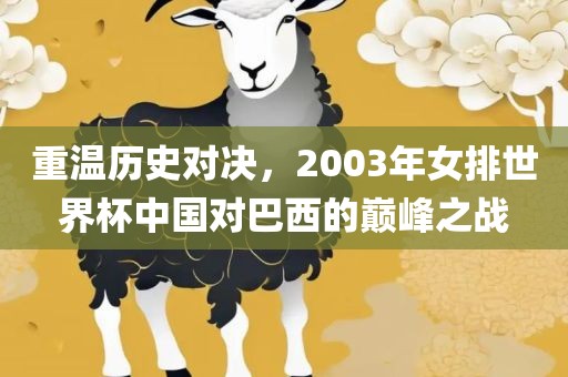 重温历史对决，2003年女排世界杯中国对巴西的巅峰之战永康市本千工贸有限公司