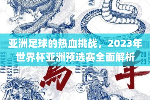 亚洲足球的热血挑战,2023年世界杯亚洲预选赛全面解析