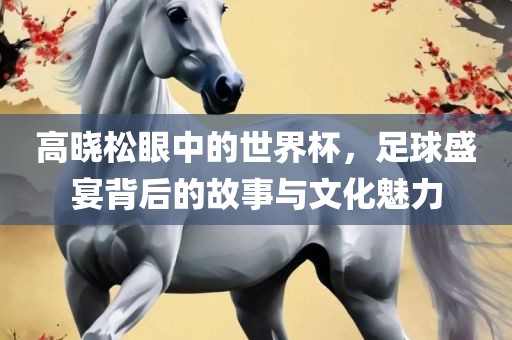 高晓松眼中的世界杯,足球盛宴背后的故事与文化魅力永康市本千工贸有限公司