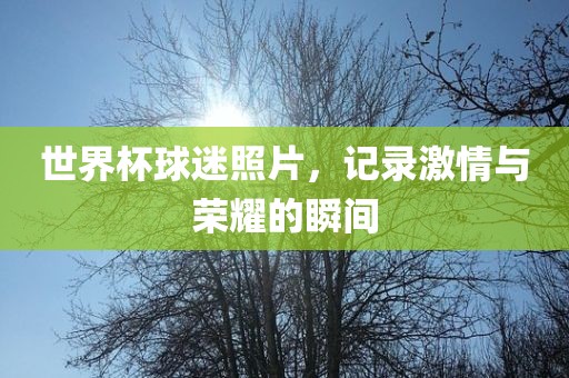 世界杯球迷照片，记录激情与荣耀的瞬间