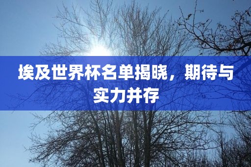 埃及世界杯名单揭晓,期待与实力并存