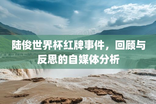 陆俊世界杯红牌事件，回顾永康市本千工贸有限公司与反思的自媒体分析