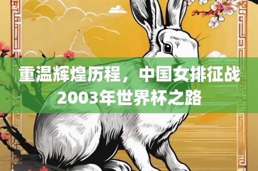 重温辉煌历程,中国女排征战2003年世界杯之路永康市本千工贸有限公司