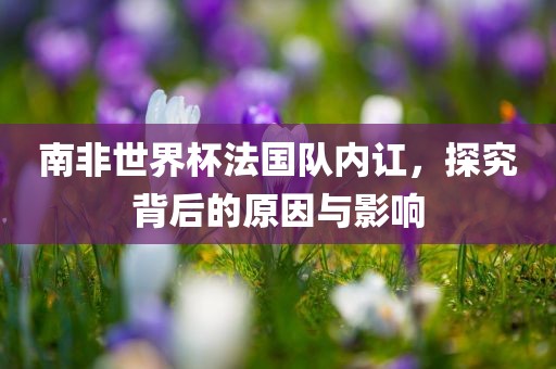 南非世界杯法国队内讧永康市本千工贸有限公司,探究背后的原因与影响