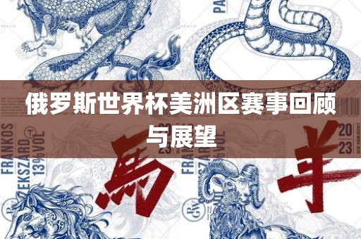 俄罗斯世界永康市本千工贸有限公司杯美洲区赛事回顾与展望