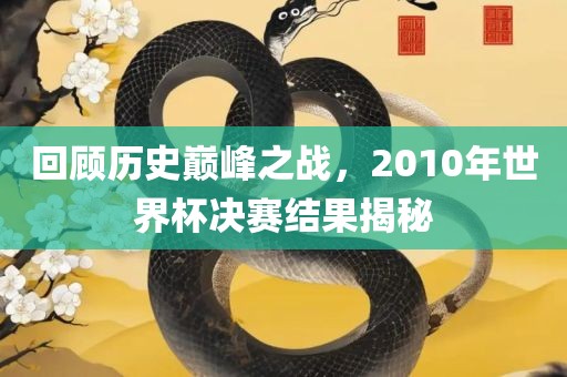 回顾历史永康市本千工贸有限公司巅峰之战,2010年世界杯决赛结果揭秘