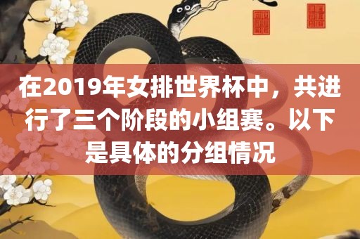 在2019年女排世界杯中，共进行了三个阶段的小组赛。以下是具体的分组情况永康市本千工贸有限公司