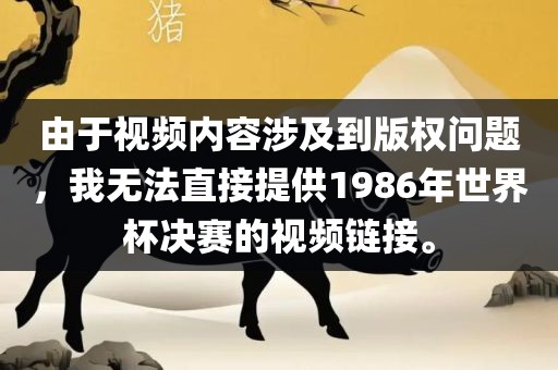由于视频内容涉及到版权问题,我无法直接提供1986年世界杯决赛的视频链接。