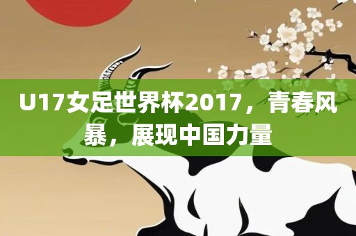 U17女足世界杯2017，青春风暴，展现中国力量永康市本千工贸有限公司