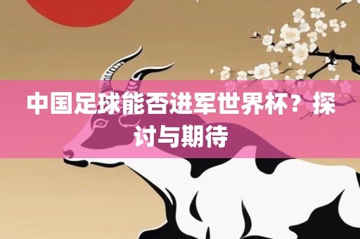 中国足球能否进军世界杯?探讨与期待永康市本千工贸有限公司