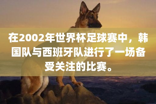 在2002年世界杯足球赛中,韩国队与西班牙队进行了一场备受关注的比赛。