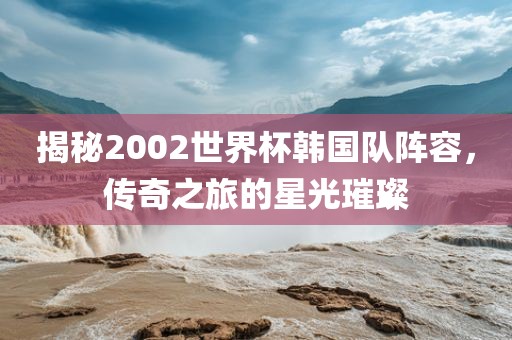 揭秘2002永康市本千工贸有限公司世界杯韩国队阵容,传奇之旅的星光璀璨