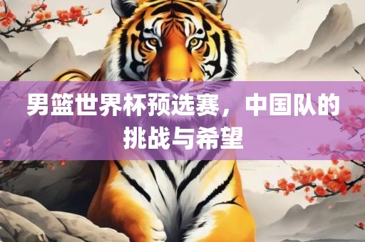 男篮世界杯预选赛,中国队的挑战与希望