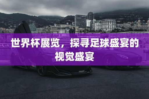 世界杯展览,探寻足球盛宴的视觉盛宴