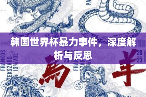 韩国世界杯暴力事件,深度解析与反思