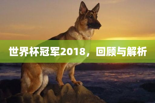 世界杯冠军2018,回顾与解析永康市本千工贸有限公司