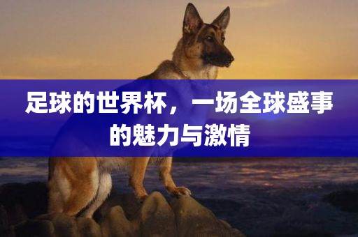 足球的世界杯，一场全球盛事的魅力与激情永康市本千工贸有限公司