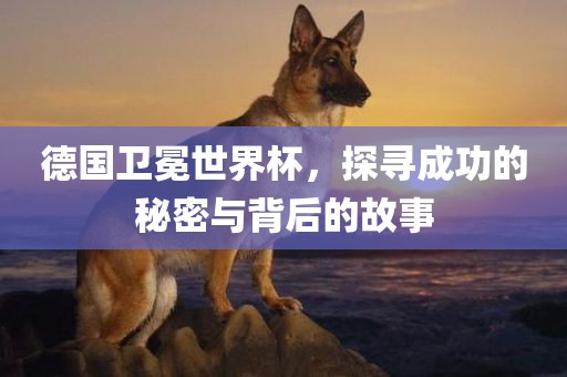 德国卫冕世界杯,探寻成功的秘密与背后的故事永康市本千工贸有限公司