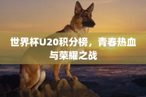 世界杯U20积分榜，青春热血与荣耀之战