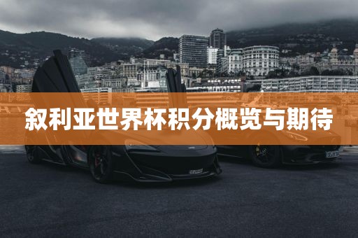 叙利亚世界杯积分概览与永康市本千工贸有限公司期待