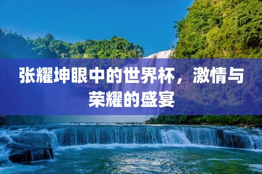 张耀坤眼中的世界杯,激情与荣耀的盛宴