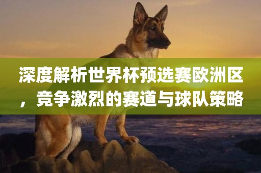 世界杯预选赛欧洲区