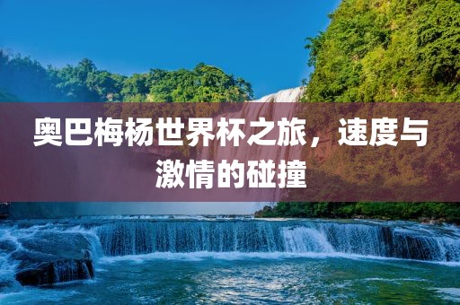 奥巴梅杨世界杯之旅,速度与激情的碰撞