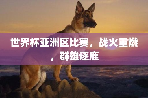 世界杯亚洲区比赛,战火重燃,群雄逐鹿永康市本千工贸有限公司