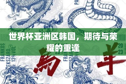 世界杯亚洲区韩国,期待与荣耀的重逢