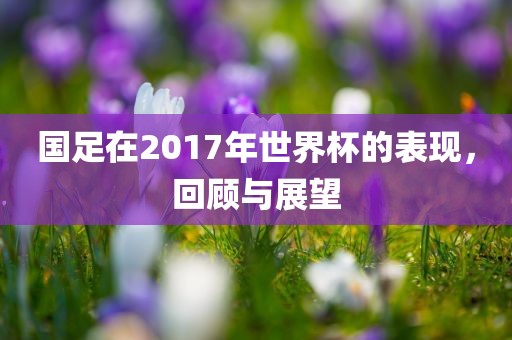 国足在2017年世界杯的表现,回顾与展望