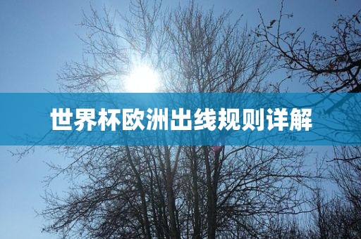 世界杯欧洲出线规则详解