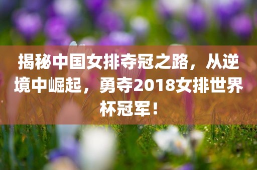 揭秘中国女排夺冠之路,从逆境中崛起,勇夺2018女排世界杯冠军!