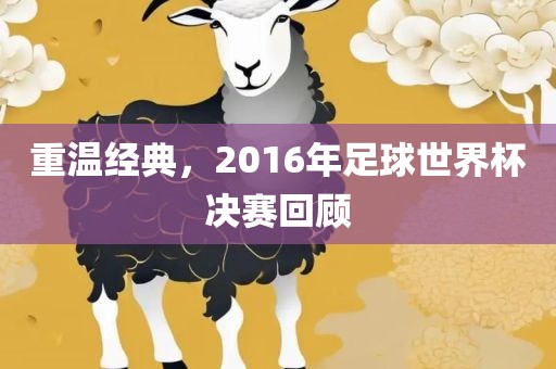 重温经典,2016年足球世界杯决赛回顾