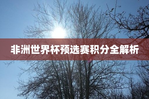 非洲世界杯预选赛积分全解析