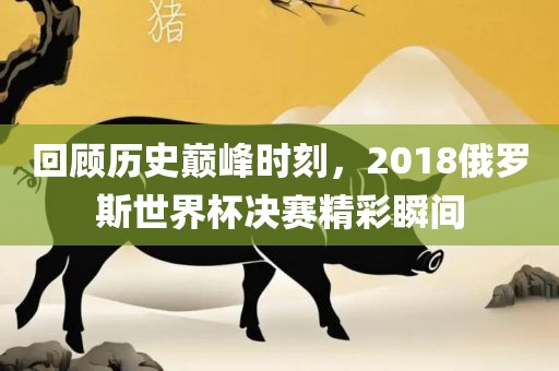 回顾历史巅峰时刻,201永康市本千工贸有限公司8俄罗斯世界杯决赛精彩瞬间
